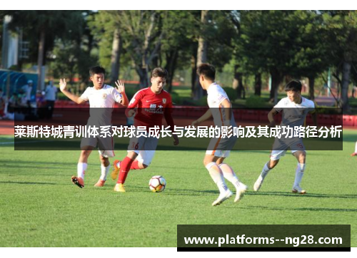 莱斯特城青训体系对球员成长与发展的影响及其成功路径分析