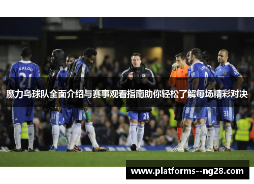 魔力鸟球队全面介绍与赛事观看指南助你轻松了解每场精彩对决