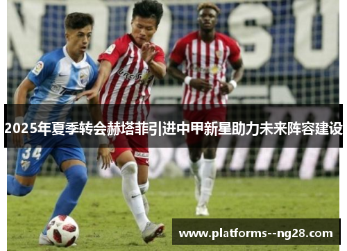 2025年夏季转会赫塔菲引进中甲新星助力未来阵容建设
